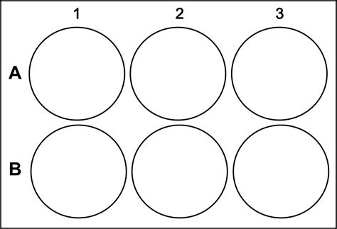 6 Well Plate Layout Template