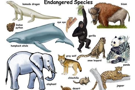 Endangered Species And Its Top 13 Interesting Facts Iucn Red List Of