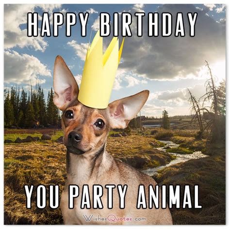 The Funniest And Most Hilarious Birthday Messages And Cards Birthday