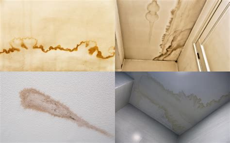 How To Clean Water Stains From Ceilings And Walls
