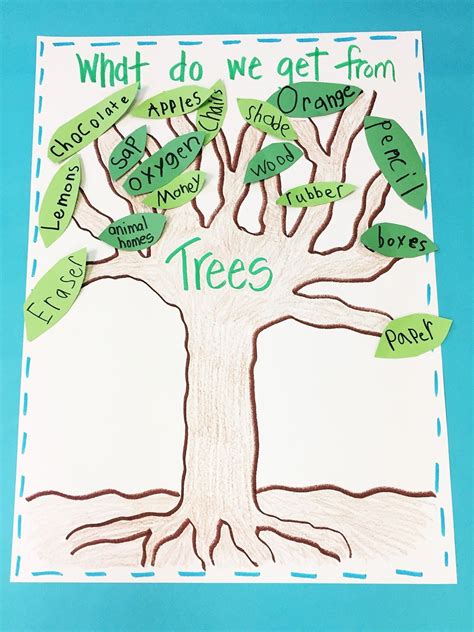Learning About Trees Firstieland First Grade Teacher Blog