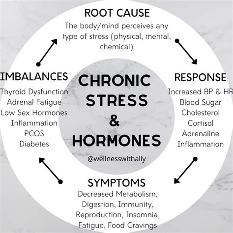 Chronic Stress And Hormones Finesse Fitness