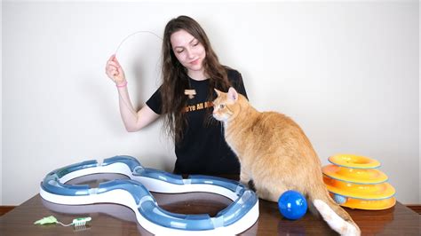 Petsmart Toys For Cats Online Cheapest Save 40 Jlcatjgobmx