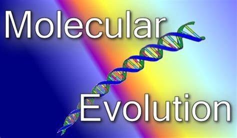 ÿþ Molecular Evolution
