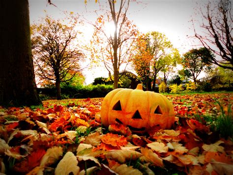 Autumn Leaves Halloween Scene Kevin Grosvenor Flickr