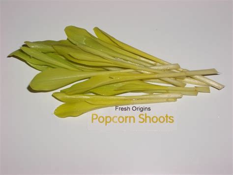 Micro Green Popcorn Shoot 8 Oz Fresh Ref 8 Oz Food Innovations
