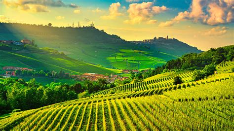 Located in northwest italy it is the home of more docg wines than any other italian region. Vin og gastronomirejse i Piemonte l Kulturrejser Europa™