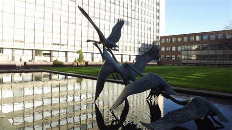 Northumbrian Images Five Swans Newcastle Civic Centre
