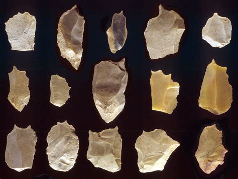 Fifteen Gravers From The Olive Branch Dalton Site Paleo Indians