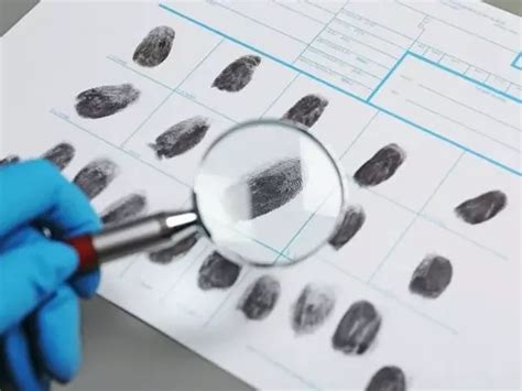 Cos è la criminologia forense euroinnova