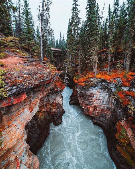 The Colourful Athabasca Falls 💦🌿 Pc Glennleerobinson 📍 Jasper