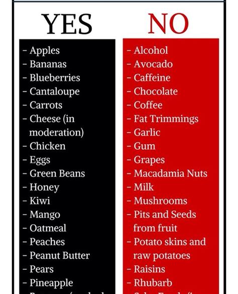 Like humans, all dogs are different and can react differently to foods. HUMAN FOODS DOGS CAN & CANT EAT! - Musely