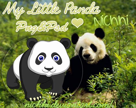 My Little Panda En Pngypsd By Nichhi On Deviantart