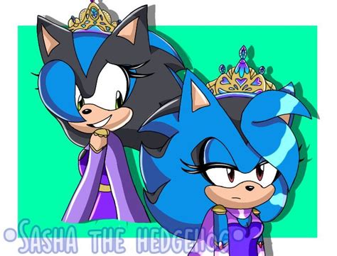 Maria The Hedgehog Sonic The Hedgehog Sonic And Shadow Amy Rose