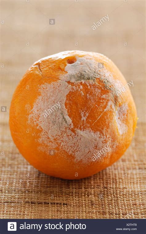 Orange Pourrie Banque Dimage Et Photos Alamy