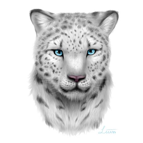 Snow Leopard By Liusssteen On Deviantart