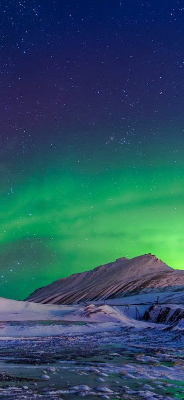 Aurora Borealis Winter Wallpaper 1125x2436