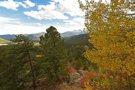 Colorado Rockies National Park Fall Foliage Yellow Aspen Photograph By