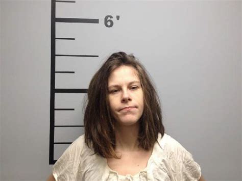 bentonville woman accused of stealing kitten from clinic faces felony charge the arkansas