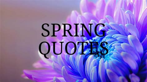 45 Beautiful Spring Quotes With Amazing Images Siteforthesoul