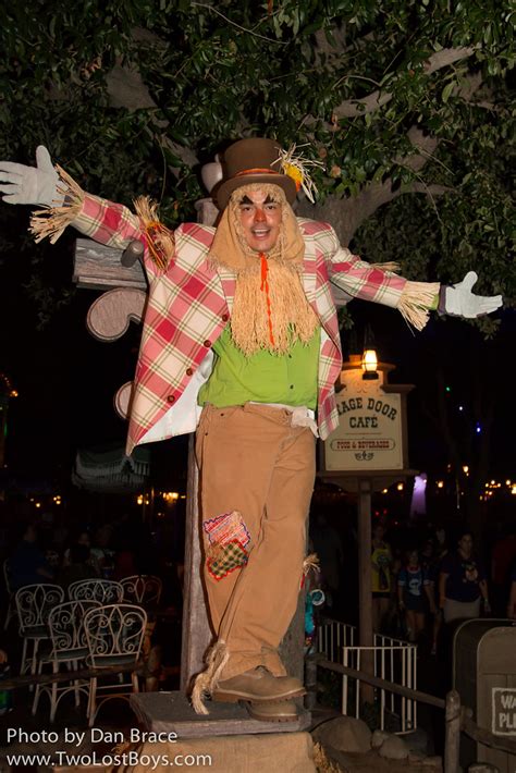 Scarecrows At Disney Character Central