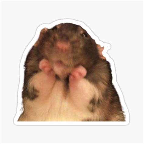 Funny Hamster Meme Design Sticker For Sale By Mopublishing Redbubble