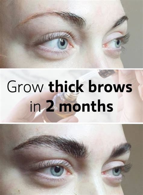 How To Make Eyebrows Grow Faster With Vaseline Thicker Eyebrows