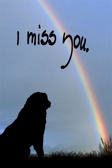 Leonberger Looking At A Rainbow 350 Via Etsy Miss My Dog Pet