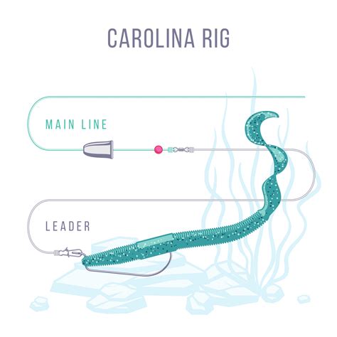 Perfect Carolina Rig For Dominating Bass Fishing Expert Tips And Tricks