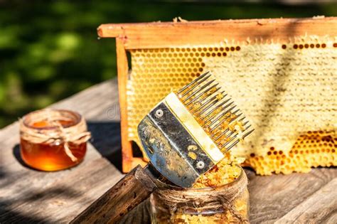 Imkereiwerkzeuge Rahmen Mit Frischem Bienenwachsstruktur Voll Und Ganz In Den Bienenwaben