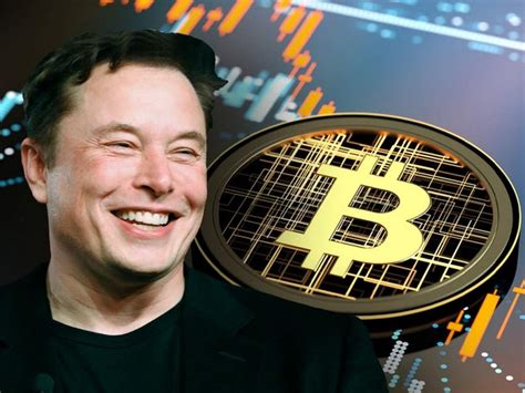 Elon Musk About Bitcoin Creator Who Created Bitcoin Alan Muskini