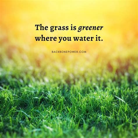 The Grass Is Greener Where You Water It Life Quotes Wisdom Audio Books