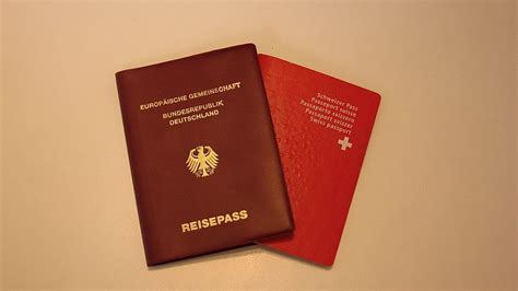 Advanced passenger information system (apis): Einbürgerung