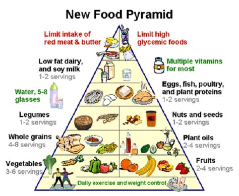 Usda New Food Pyramid 2015 Images Human Body Pinterest