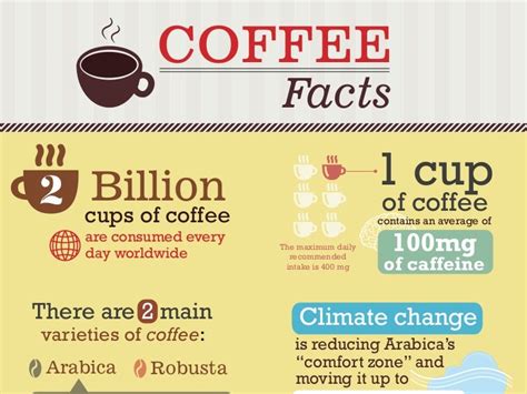 Coffee Facts Infographic