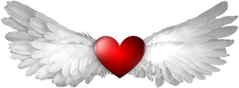 Love Wings Png Png Image Collection