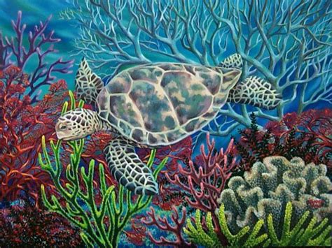 Nothing will be shipped to. coral reef turtle | Fish art, Watercolor fish, Sea turtle art