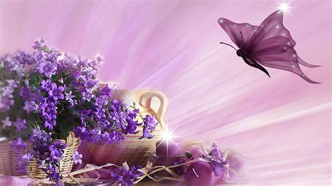 Spring Butterfly Wallpapers Background Outdoors