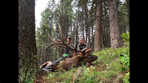 Archery Elk Hunt In The Back Country Of Montana One Percent Youtube