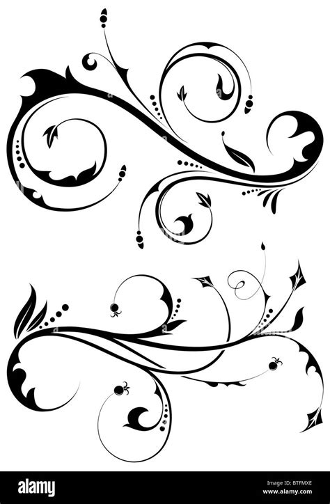 Floral Scroll Element For Design Vector Illustration Stock Photo Alamy