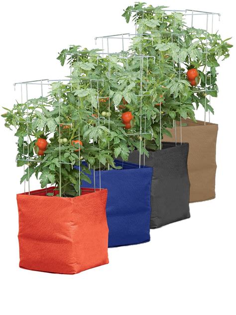 Tomato Grow Bag With 5 Integrated Cage Growing Tomatoes Growing
