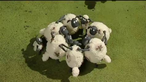 New Shaun The Sheep Full Episodes Non Stop Full Collection Cartoon