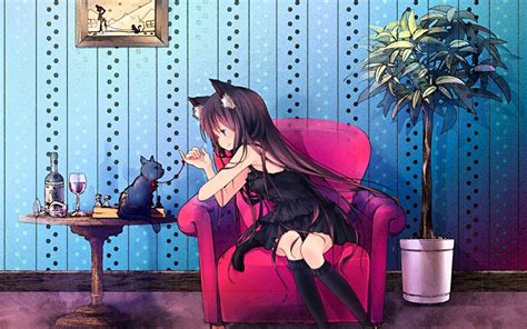 Cat Girl Anime Desktop Wallpapers Top Free Cat Girl A
