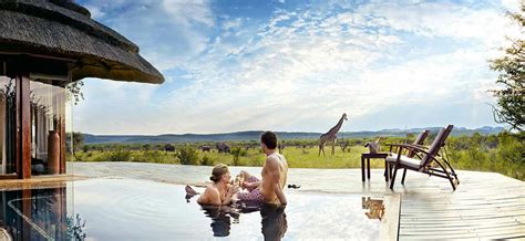 luxury safaris in south africa packages and itineraries discover africa safaris
