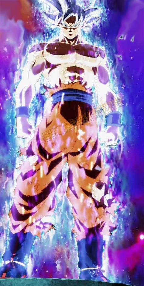 Goku Ultra Instinct Full Body Wallpapers Wallpaper Cave