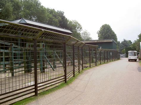 Bespoke Elephant Cage For Zoo Jacksons Security Fencing