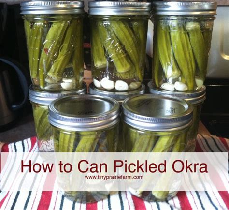 It was there that i had the chance to try the most delectable fried okra i'd ever encountered. how to can orka | Pickled okra, Canning recipes, Okra