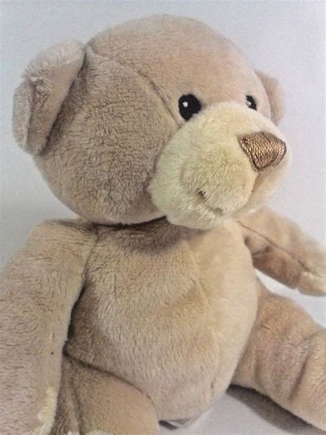 His bear hood has odd embroidered eyes. Animal Alley TEDDY BEAR Plush Stuffed Animal Embroidered ...