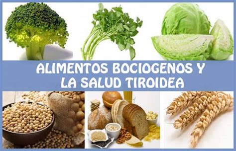 Alimentos Bociogenos O Goitrógenos Problemas Con El Yodo Y La Tiroides