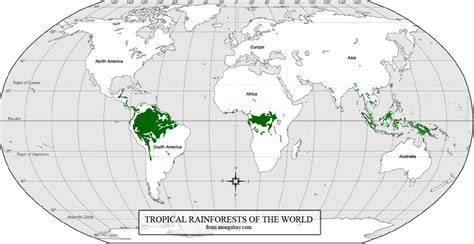 They share location, they are both lush, and heavily populated with trees. Where are rainforests found?